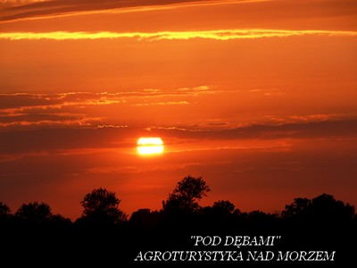 Agroturystyka nad morzem "POD DĘBAMI"